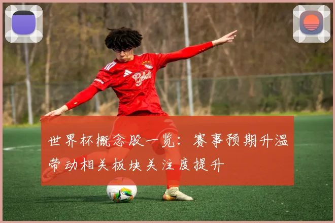 世界杯概念股一览:赛事预期升温带动相关板块关注度提升
