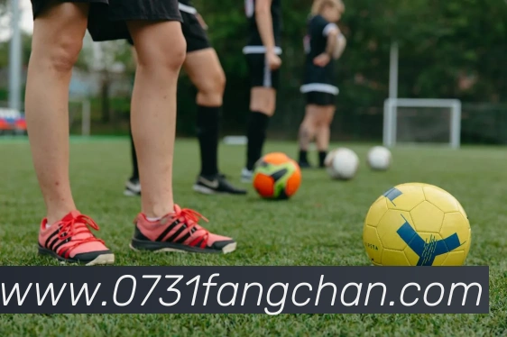 leyu网APP 体育赛事宣传图